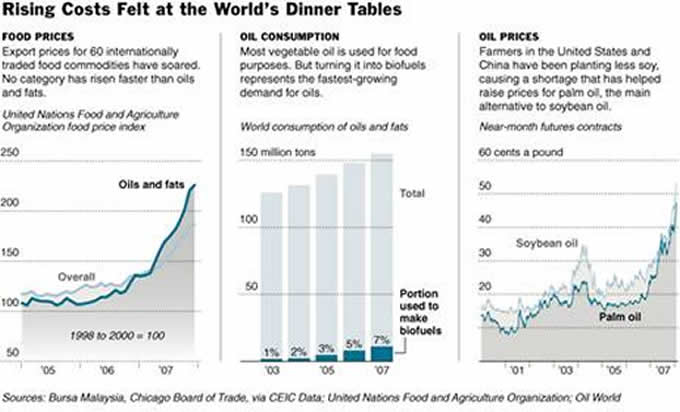 Rising Costs Felt at the World's Dinner Tables