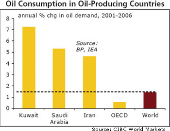 Oil Consumption in Oil-Producing Countries
