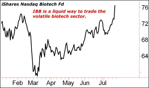 IBB is a liquid way to trade the volatile biotech sector.