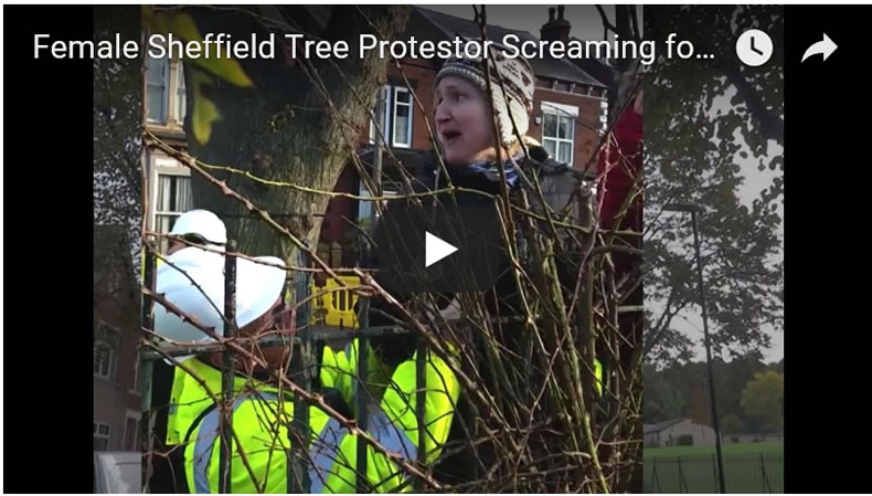 Shocking Video of Female Sheffield Tree Protestor Screaming for Police Help to Stop Alleged Assault