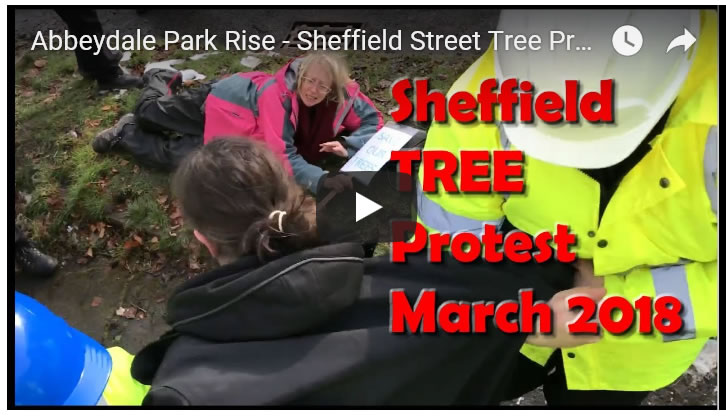Abbeydale Park Rise - Sheffield Street Tree Protests March 2018