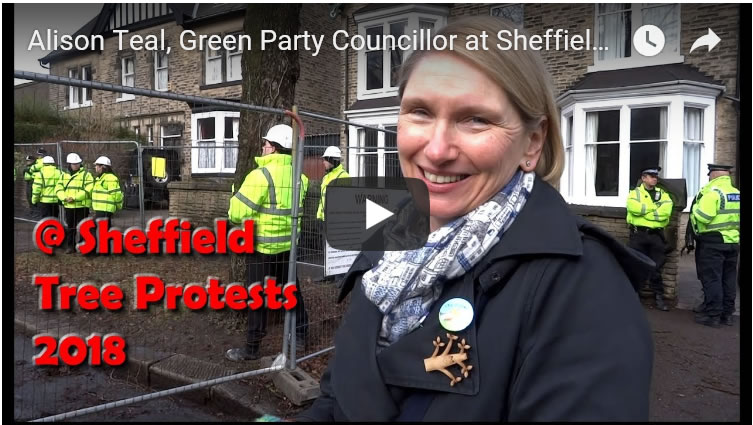 Green Party Councillor Alison Teal at Sheffield Street Trees Fellings Protests 2018 