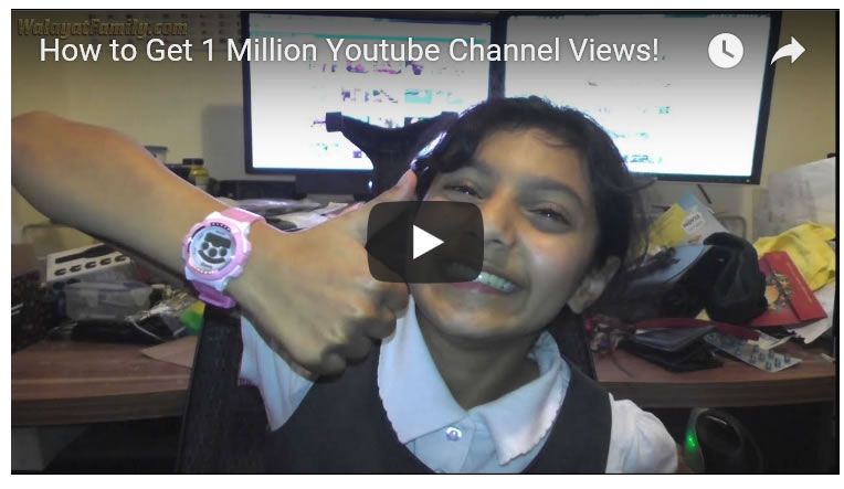 How to Get 1 Million Youtube Channel Views!