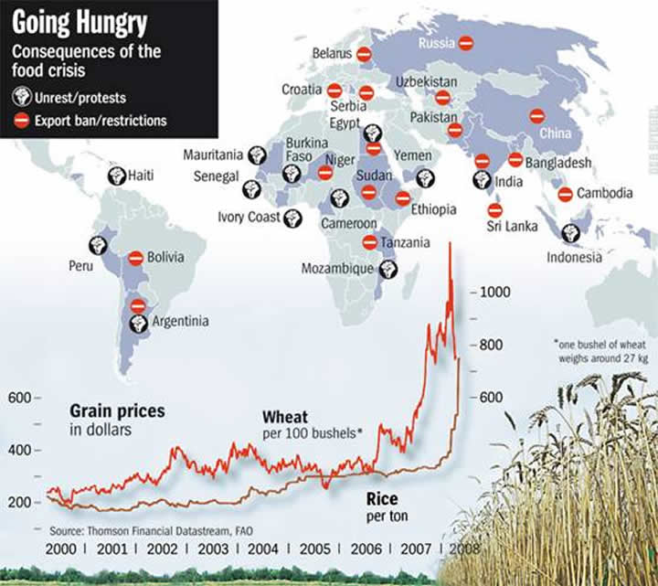Graphic: Consequences of the global food crisis