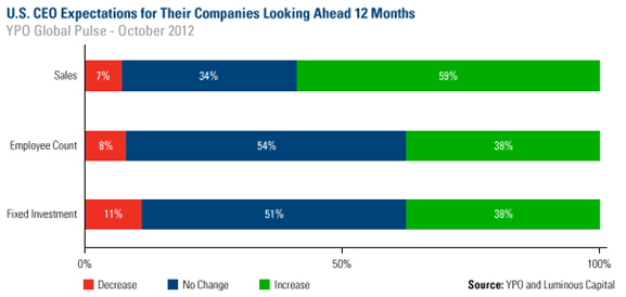 US CEO Expectations for their Companies Looking ahead 12 Months