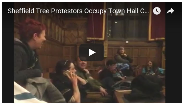 Tree Protestors Occupying Sheffield Town Hall City Council Chamber 