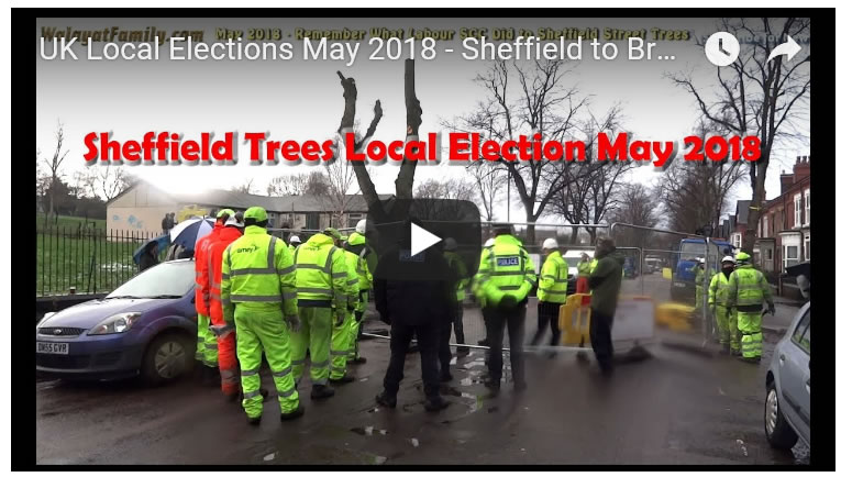 UK Local Elections May 2018 - Sheffield to Break Free of Labour Rule Over Street Trees