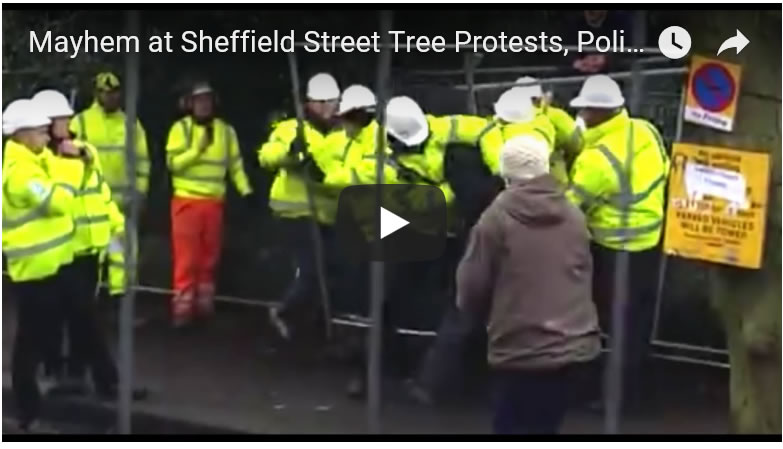 Mayhem at Sheffield Street Tree Protests, Police, Bouncers and Multiple Assaults Meersbrook Park Road