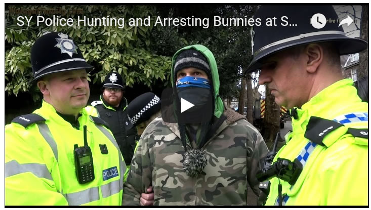 SY Police Hunting and Arresting Bunnies at Sheffield Street Tree Felling Protests