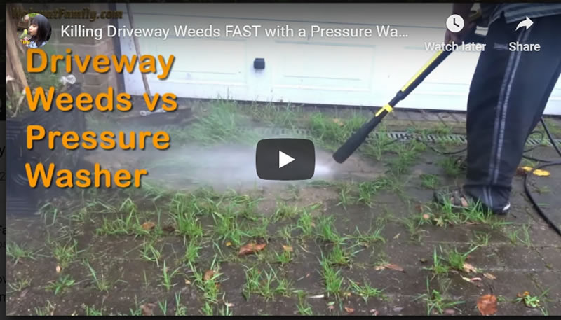 Killing Driveway Weeds FAST with a Pressure Washer - Saving Block Paving from LOTS of WEEDs