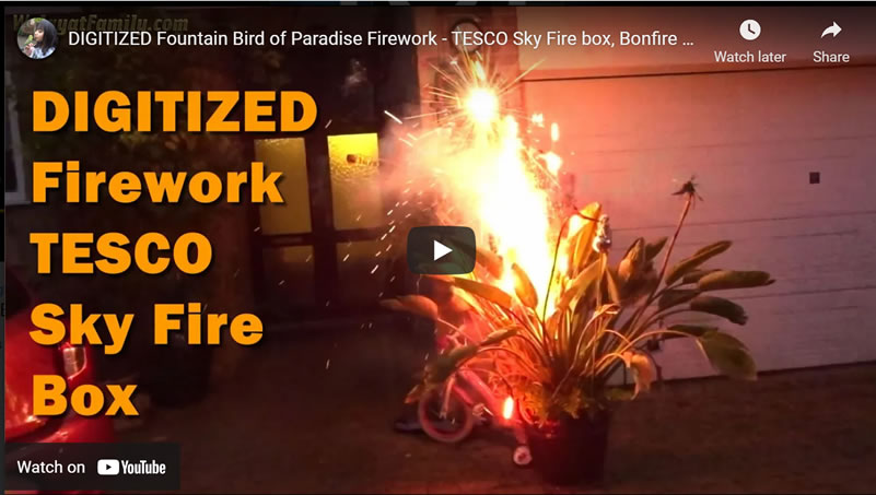 DIGITIZED Fountain Bird of Paradise Firework - TESCO Sky Fire box, Bonfire Night 2021