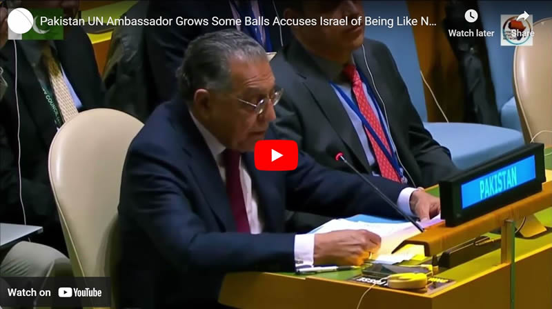 Pakistan UN Ambassador Grows Some Balls Accuses Israel of Being Like Nazi Germany